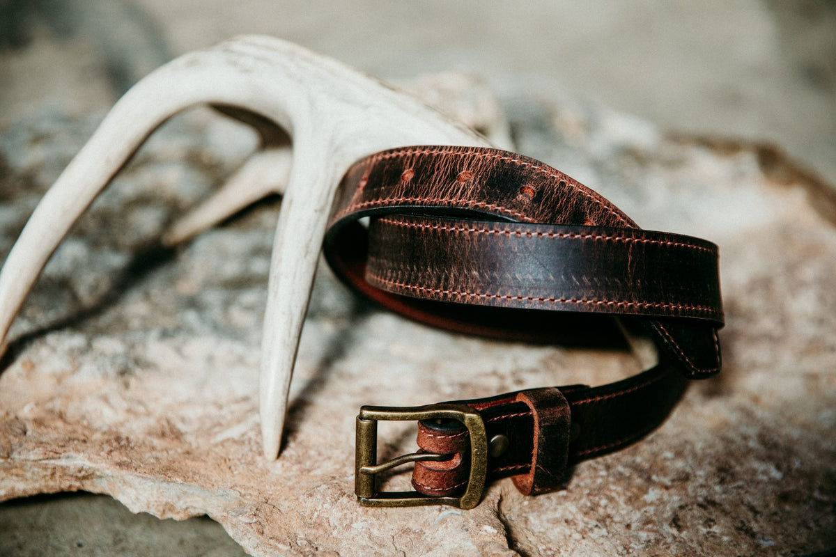 Gerald full grain leather belt in dark brown with antique brass buckle