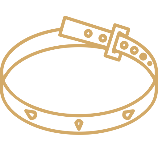 Women's Belts